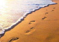 Immagine4