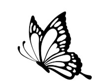 Immagine5